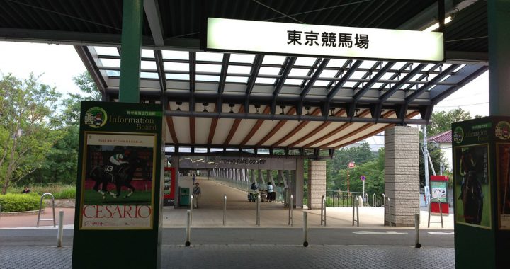 日本赛马线上投注 营收仍维持去年同期水平