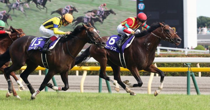 位防范全球公卫事件扩大，日本赛马延长闭门作赛