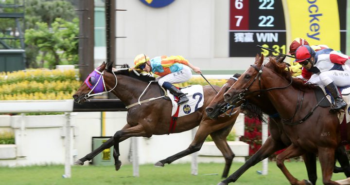 年度「主席赛马日」！香港马会一口气举办九项奖杯赛事