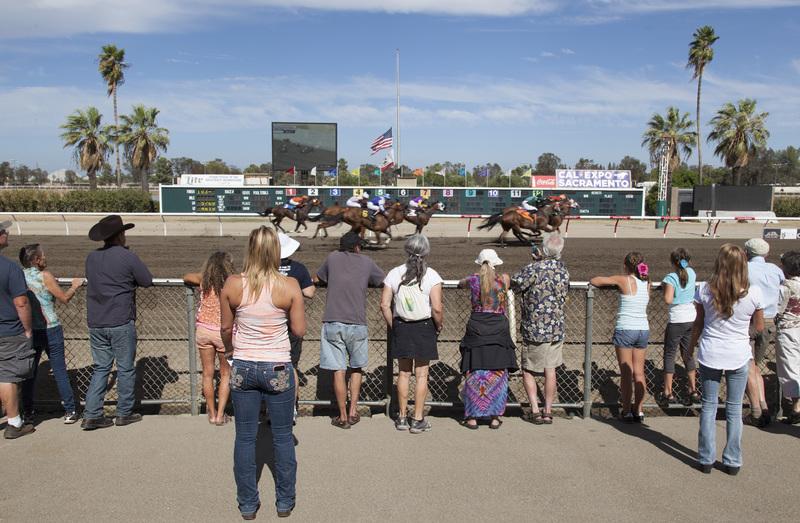 美国跑赢全球？ 各地赛马架构比一比