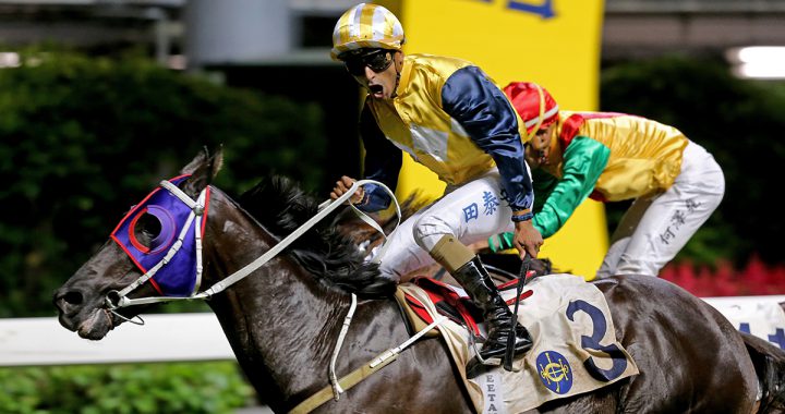 跑马地赛事中梦想成真，姚本辉首次登上冠军练马师宝座。