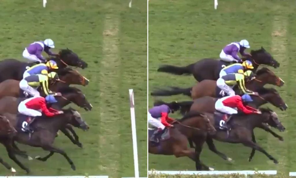 英国赛马4匹齐奔终点 冠军这样判定