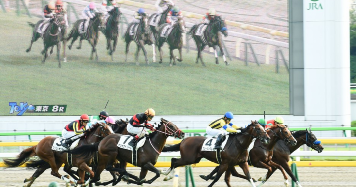 中国男子在日本赛马5年净赚1.2亿元，因未申报被追税6500万。