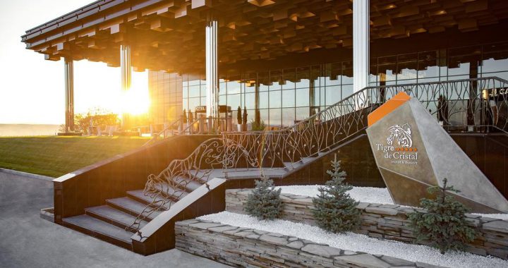 水晶虎宫殿没游客 凯升发布H1盈警!