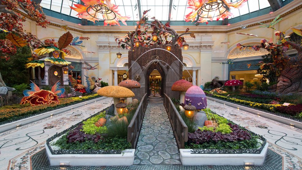 百乐宫酒店内植物园的秋季主题「走进森林」