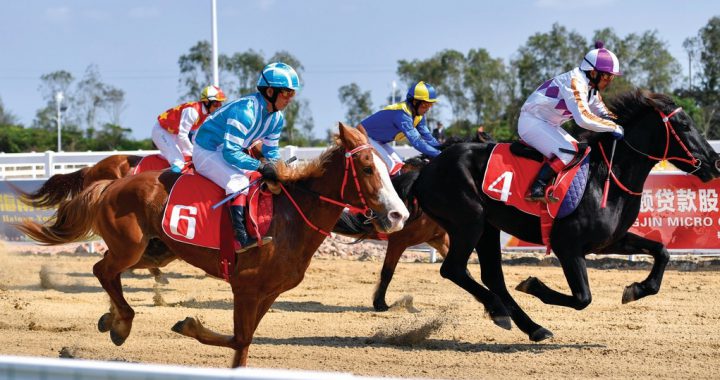 内地两部门规划提到，探索推广赛马运动。