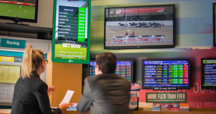 泰博控股赛马业务