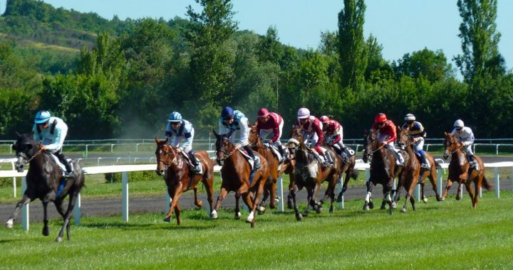 知情人士表示中央鼓励开展赛马运动并不等同于鼓励马彩，更不意味着开放赌马。