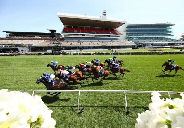 墨尔本杯赛马无观众形式举办