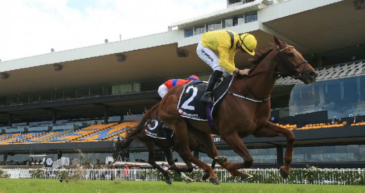 加踏步(Addeybb)拿下2020伊莉莎白锦标赛