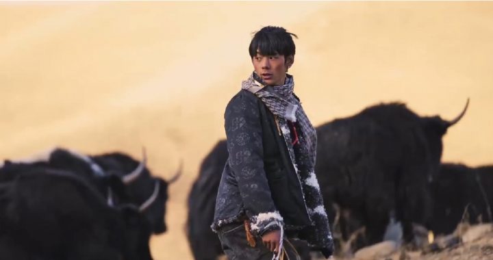 创造惊人流量的网红丁真