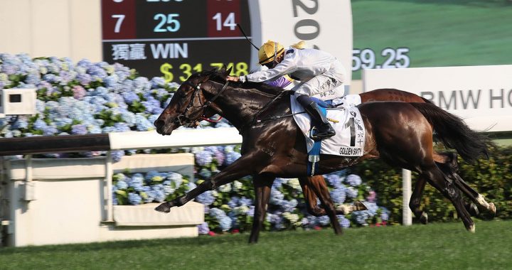 香港新一代马王金枪六十