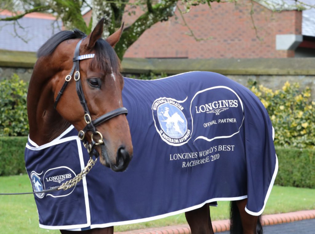 2020世界马王「既成事实」