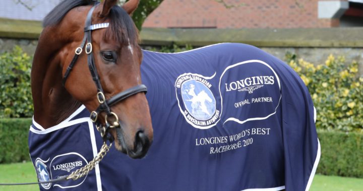 2020世界马王「既成事实」