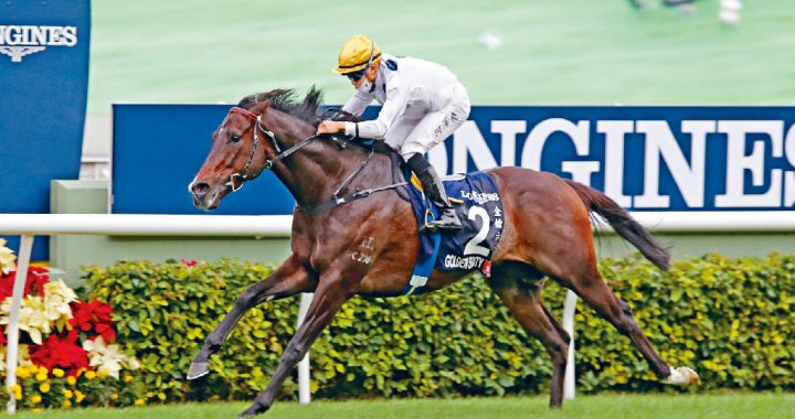 香港跨季12连胜马王金枪六十