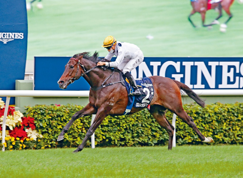 香港跨季12连胜马王金枪六十