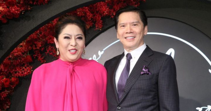 向华强本的太太陈岚是影视娱乐圈知名人物