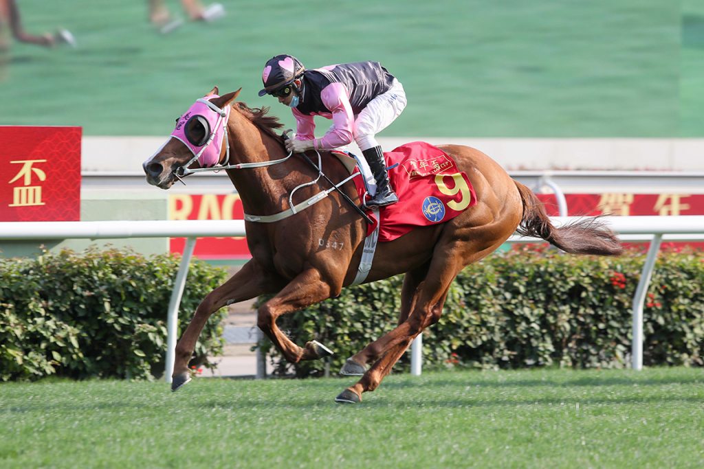 美丽笑容赢得贺年杯