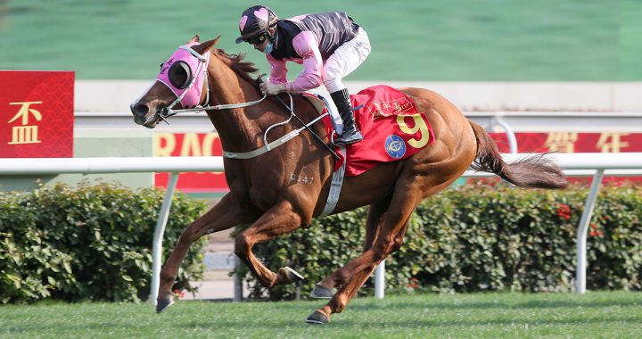 美丽笑容赢得贺年杯