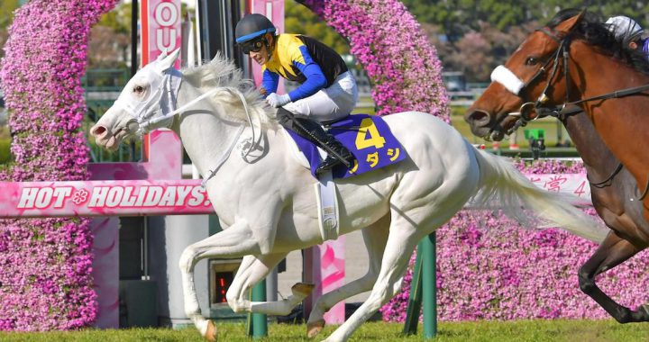 日本首度有纯白马拿下G1赛事冠军