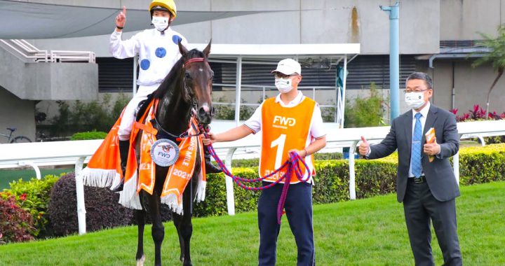 骑师何泽尧以金枪六十及唯独爱你连去拿下两座G1冠军