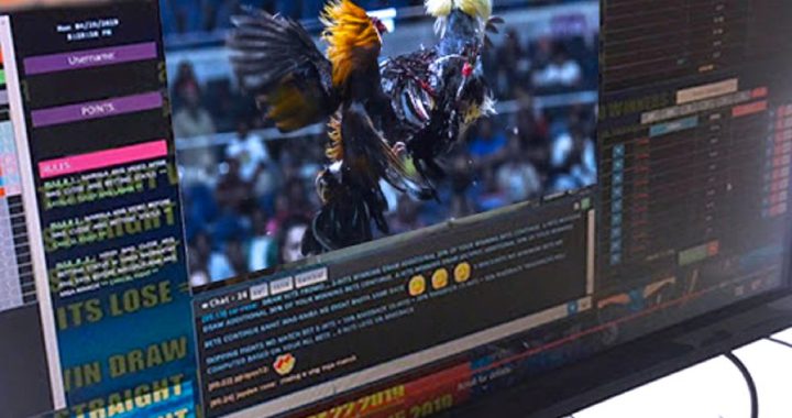 e-sabong本月被合法授权