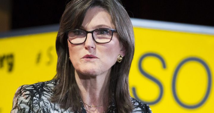 女股神伍德大手笔买进这三家公司股票