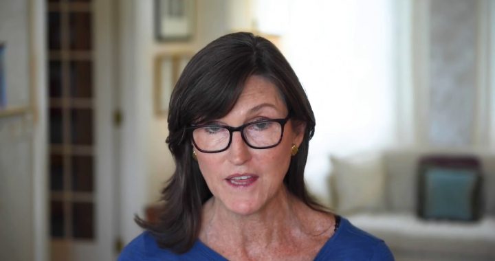 Wood's ARK has been gobbling up DraftKings stock for months.