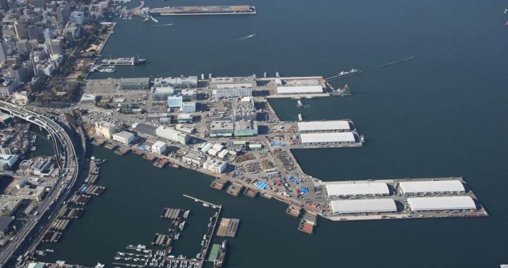 横滨IR计划开发预定地