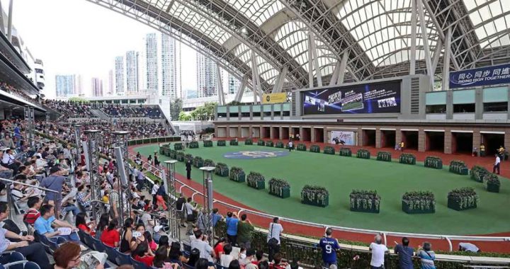 沙田马场马匹亮相圈看台人群与场地全景 新版许可证章生效前的现场场景