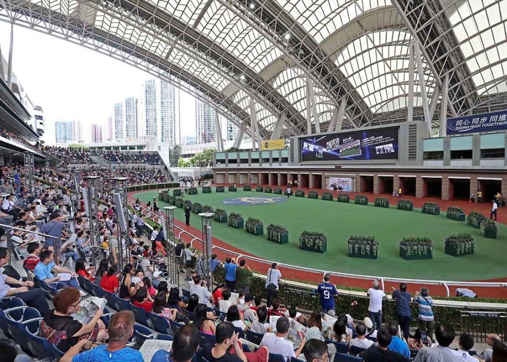 沙田马场马匹亮相圈看台人群与场地全景 新版许可证章生效前的现场场景