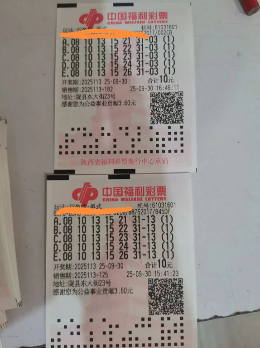 两张中奖双色球单式票，显示红球08、10、13、15、31的组合及蓝球13/03的两版投注。