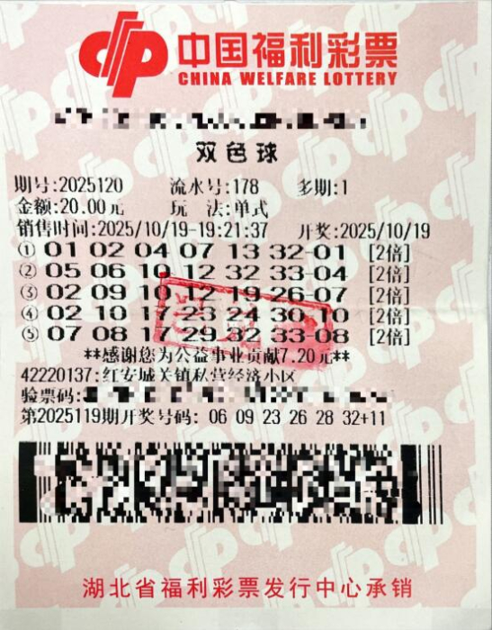 湖北彩民机选两注二等奖合计101万的中国福利彩票双色球彩票票面清晰特写