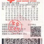 中国福利彩票快乐8游戏的选九8胆全拖彩票票面照片，显示开奖期号2025301、销售时间25-11-11 20:56:31和合计金额144元，以及底部的福彩公益金贡献金额。