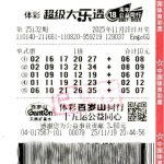 中国大乐透彩票票面示例，展示多注机选号码与开奖期次信息