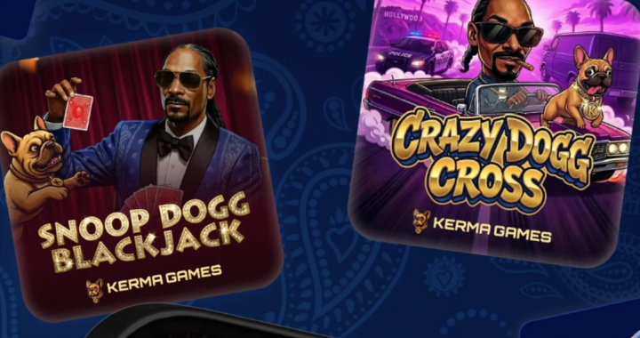 Snoop Dogg主题抽奖赌场应用界面