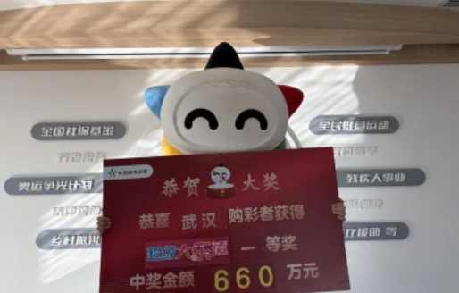 体彩吉祥物举660万中奖牌 武汉大乐透