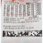 双色球彩票单式投注票据与号码打印信息