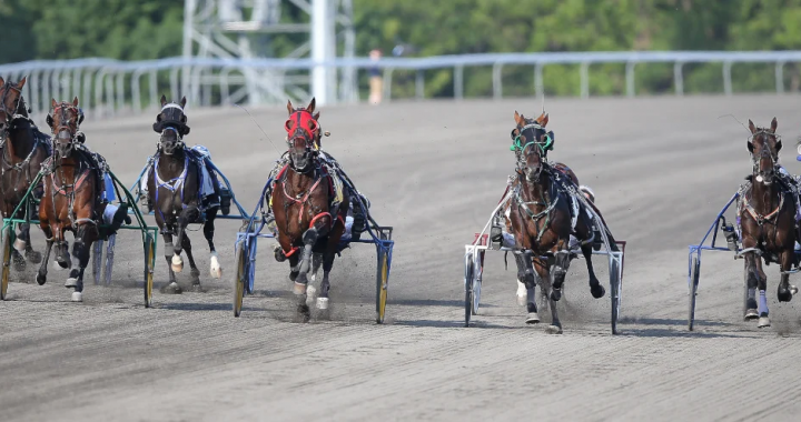 里多卡尔顿赛马场关闭相关概念图